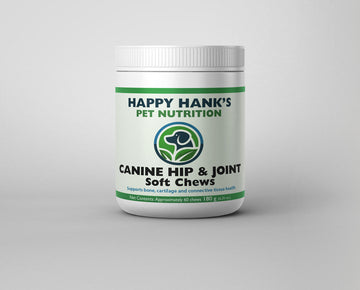 Hip & Joint